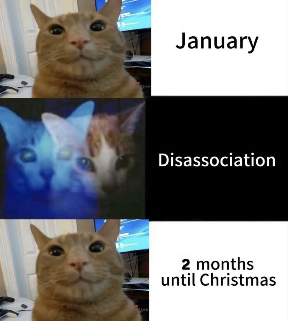 Kolth 🎮 tweet media