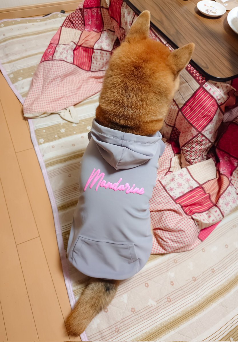 あ*様 Melloloy ふとん　くま くまにょふ on X