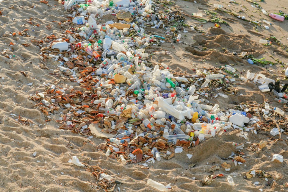 Bacterias capaces de biodegradar los microplásticos del mar: ow.ly/U0tm50XgPtP

😀 Aprende más sobre #bioeconomia con <a href="/AitemyLearning/">Aitemy Learning</a> aquí: ow.ly/ZtCk50WgQRt