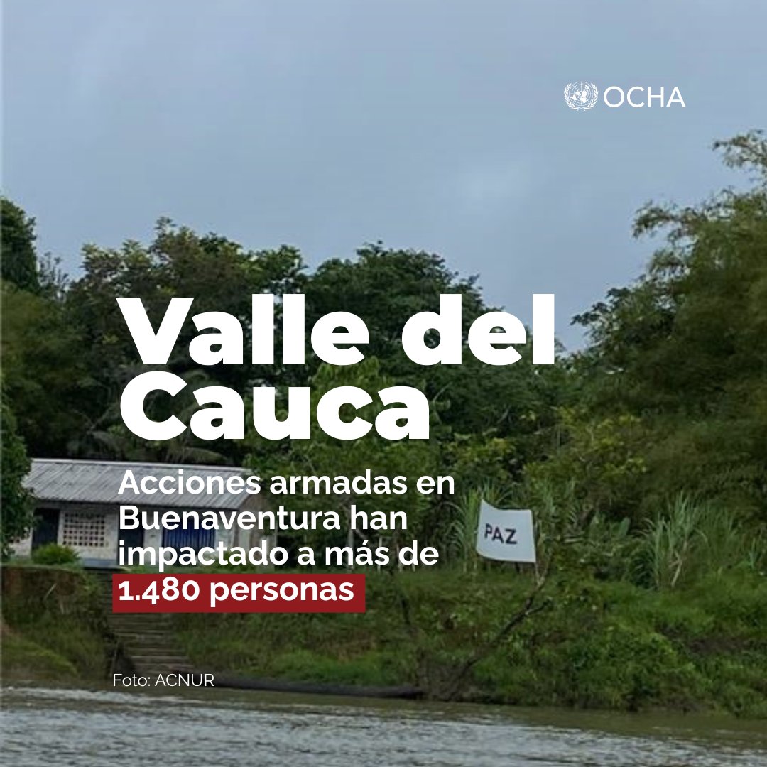 Enfrentamientos entre Grupos Armados No Estatales por el control territorial han deteriorado las condiciones de vida de las comunidades en su territorio ancestral, con riesgos de confinamiento, desplazamiento forzado y reclutamiento, uso y utilización de menores de edad.🧵