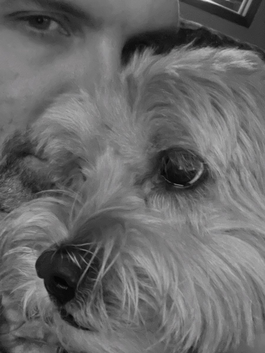 Daniel Nolin (@danielnolin3) on Twitter photo 