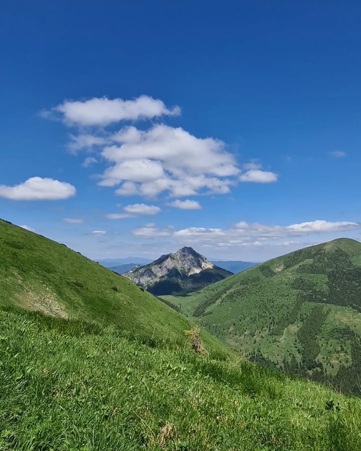 Shawon26224516's tweet photo. Reaching new heights and pointing towards the next adventure. Every peak conquered is a step closer to the journey ahead
#hikingadventures #mountainclimbing #exploretheoutdoors #wanderlusting #natureloversgallery #adventureawaits https://t.co/znM5WH6Ax5