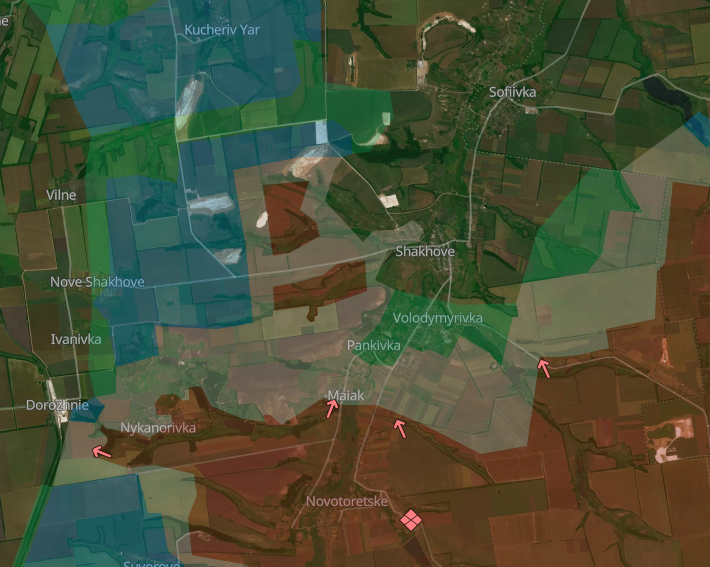 david D. tweet media