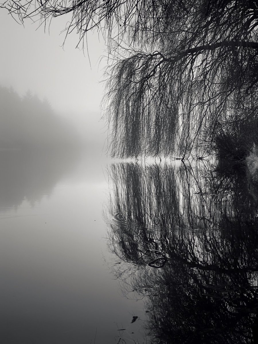 <a href="/Sam_Alexandra23/">Stephanie Alexandra</a> Weeping willow