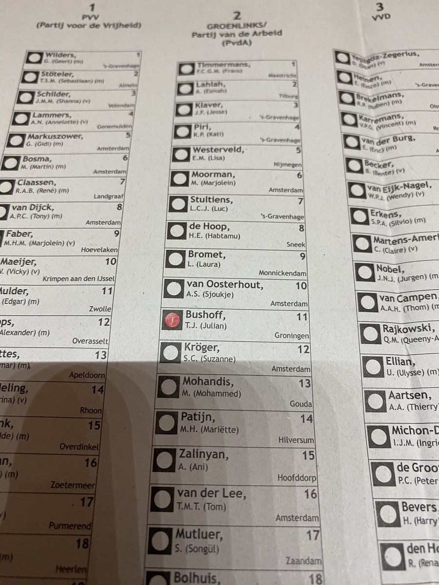 Met trots gestemd op <a href="/JulianBushoff/">Julian Bushoff</a> 🌹#TK2025 <a href="/gl_pvda/">GroenLinks-PvdA</a>