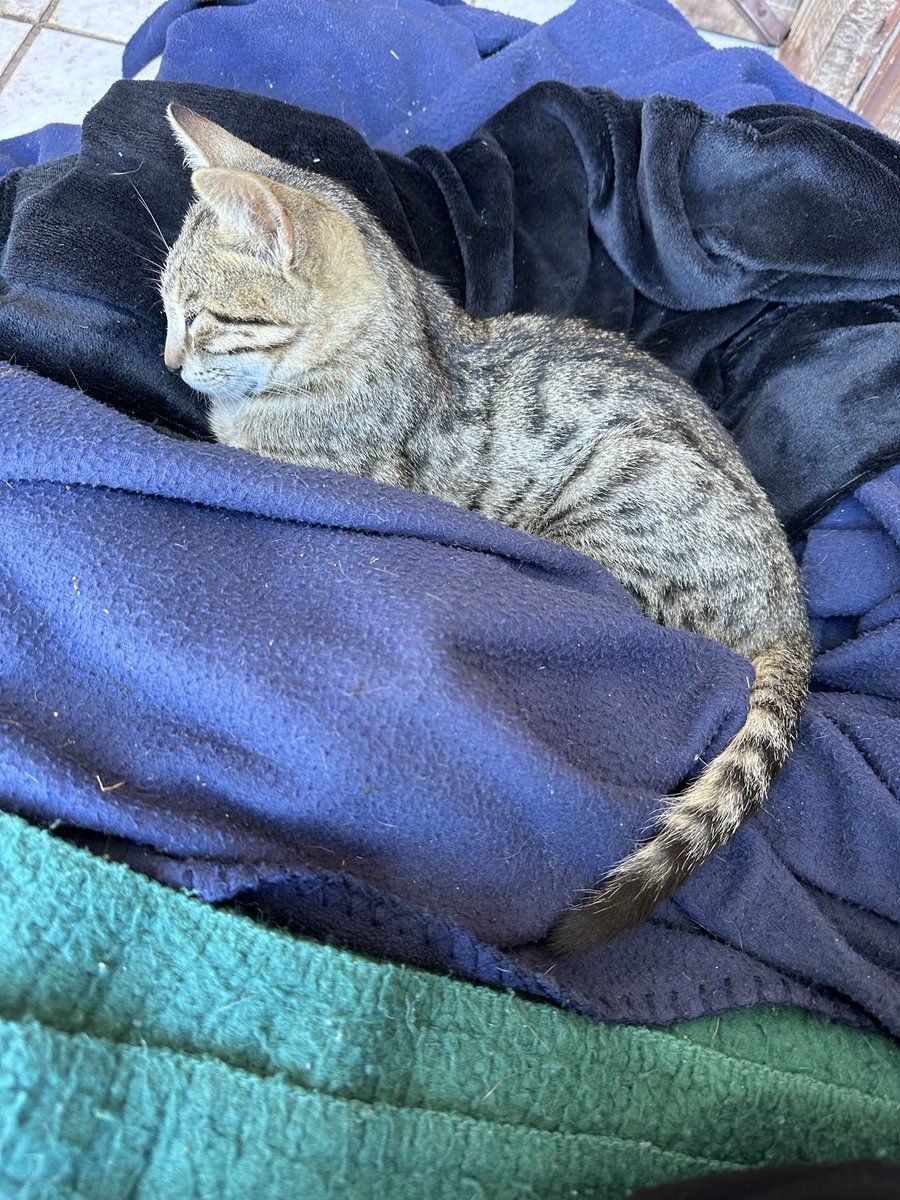 🎧Music4thePeople🎧
💃🏾🕺🏼✨🌀🔥💫 ✡︎ 🪬

אקורדים בלילות
“Chords at Night” by Osher Cohen

✨And there are days you don’t know what I am going through
You were chords at night on the piano✨

And when in doubt, dance 💃🏾
-Miriam ✡︎🪬✨🇮🇱🎗️

open.spotify.com/track/6ubV4TOn…