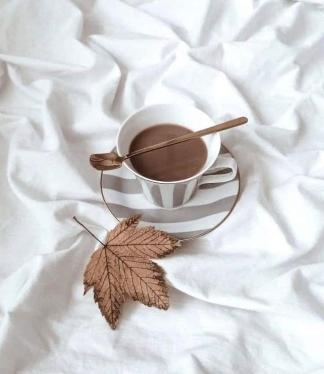 #همسه_مسائيه 

أعظم الانجازات اللي ممـگن تقدمها لـ نفسگ 
هو انگ دائماً تبدي من جديد🤍