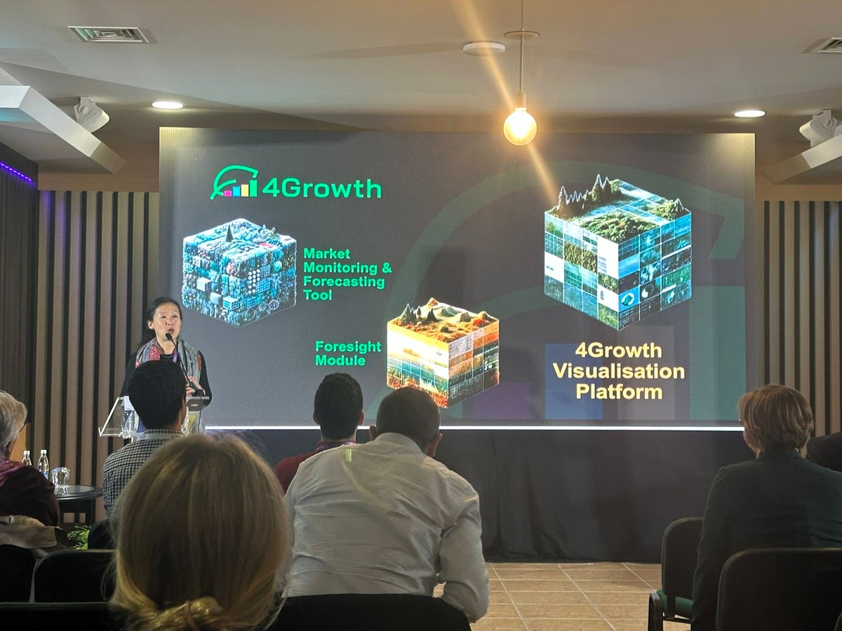 4Growth Project tweet media