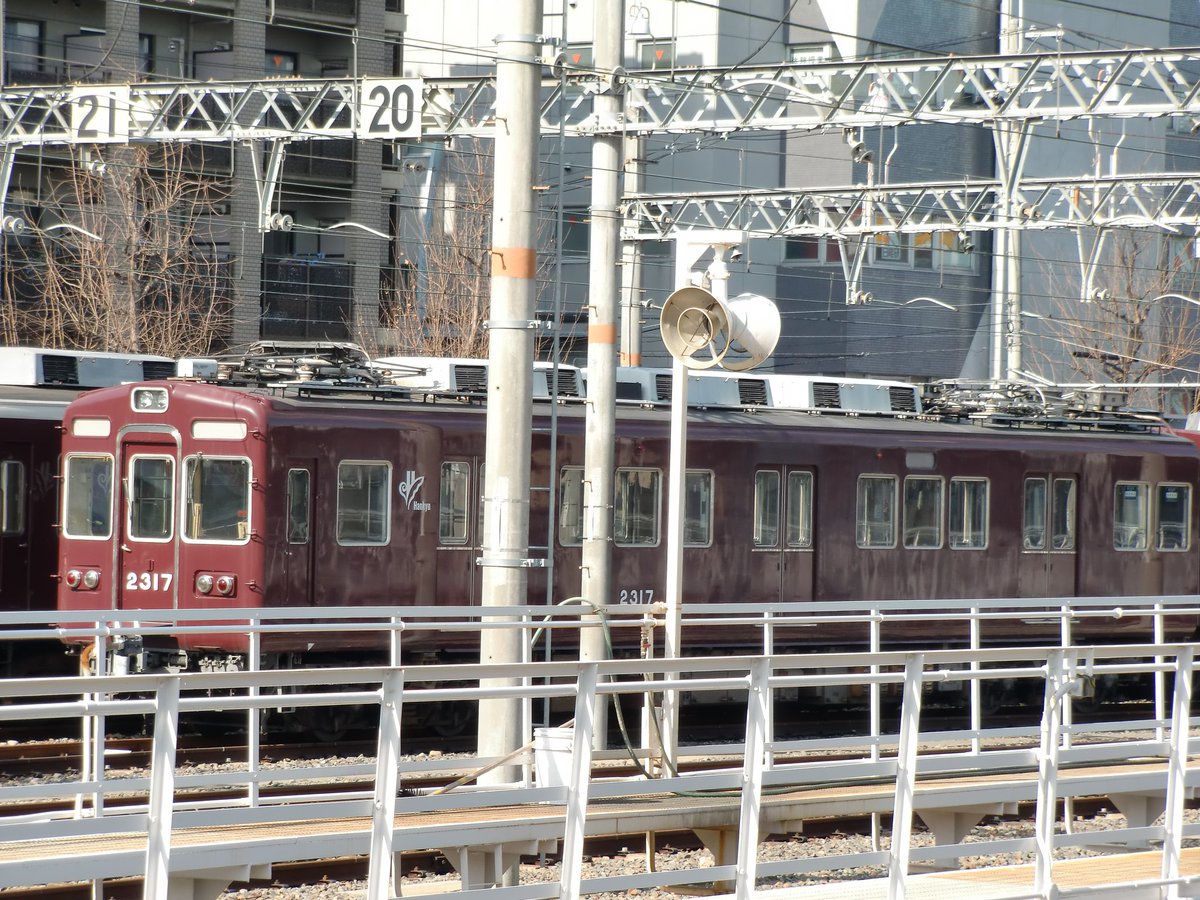 雪佳 10分歩いただけで 暑すぎて顔真っ赤になったよദി- ̫ -) 畳の