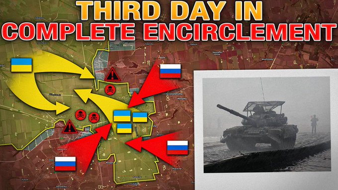 david D. tweet media