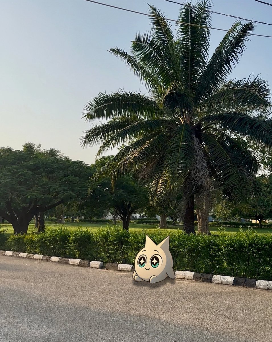 today’s walk felt like one of those “i know something y’all don’t” moments

because i know <a href="/irys_xyz/">Irys (✧ᴗ✧)</a> is gonna cook but i just can’t prove it yet ✨

mainnet is nearly here.

and programmable data’s about to make building onchain feel different

what’s one project you’d build