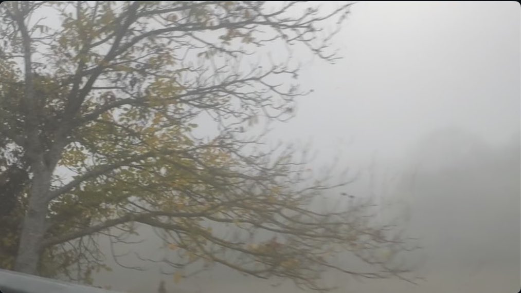 de 📀 a 🎬….. mi workaholic polifacético