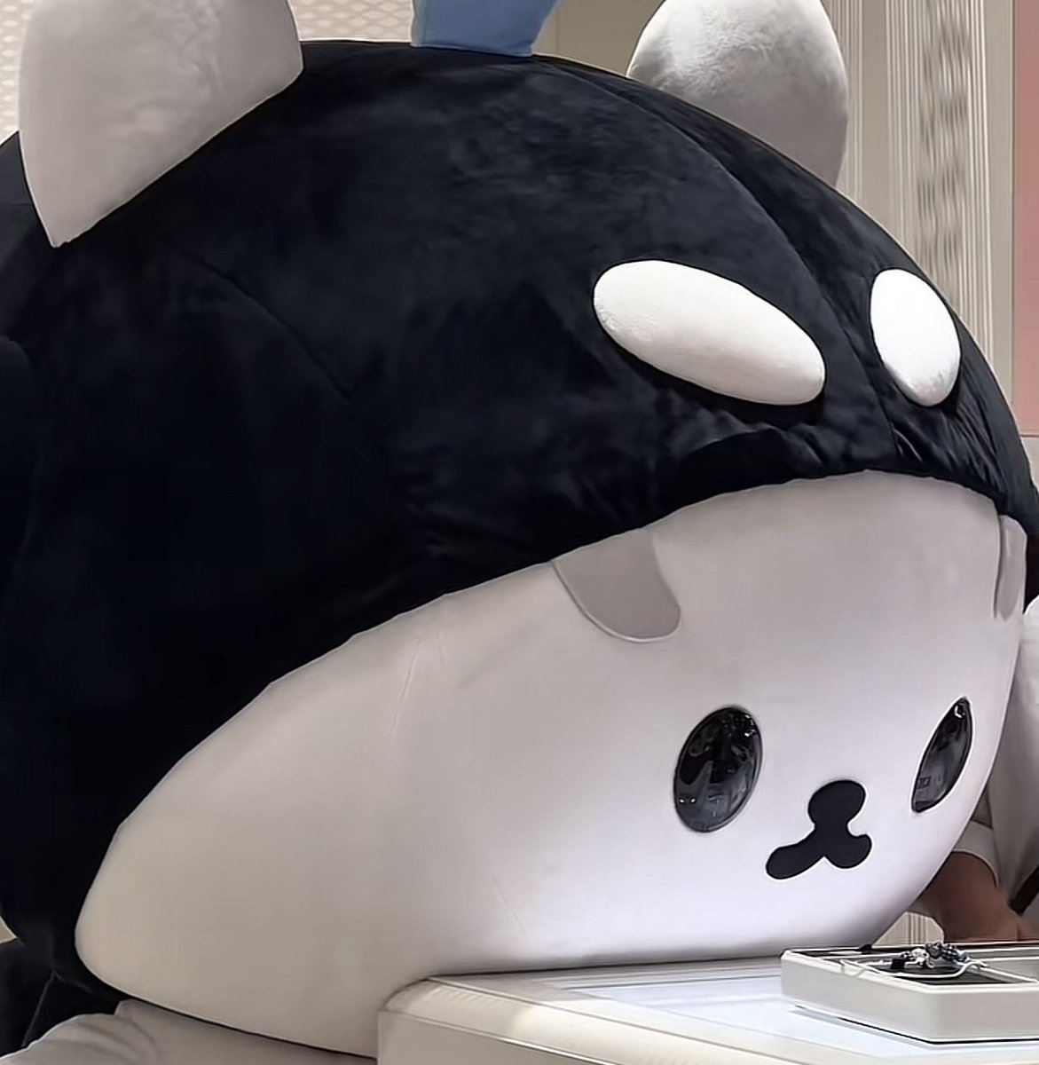 melissa เมลิสซ่า ⋆⭒˚.⋆ tweet media