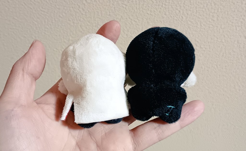 kihamu94's tweet image. プリモとセコンド
#thebandghost #primo  #second