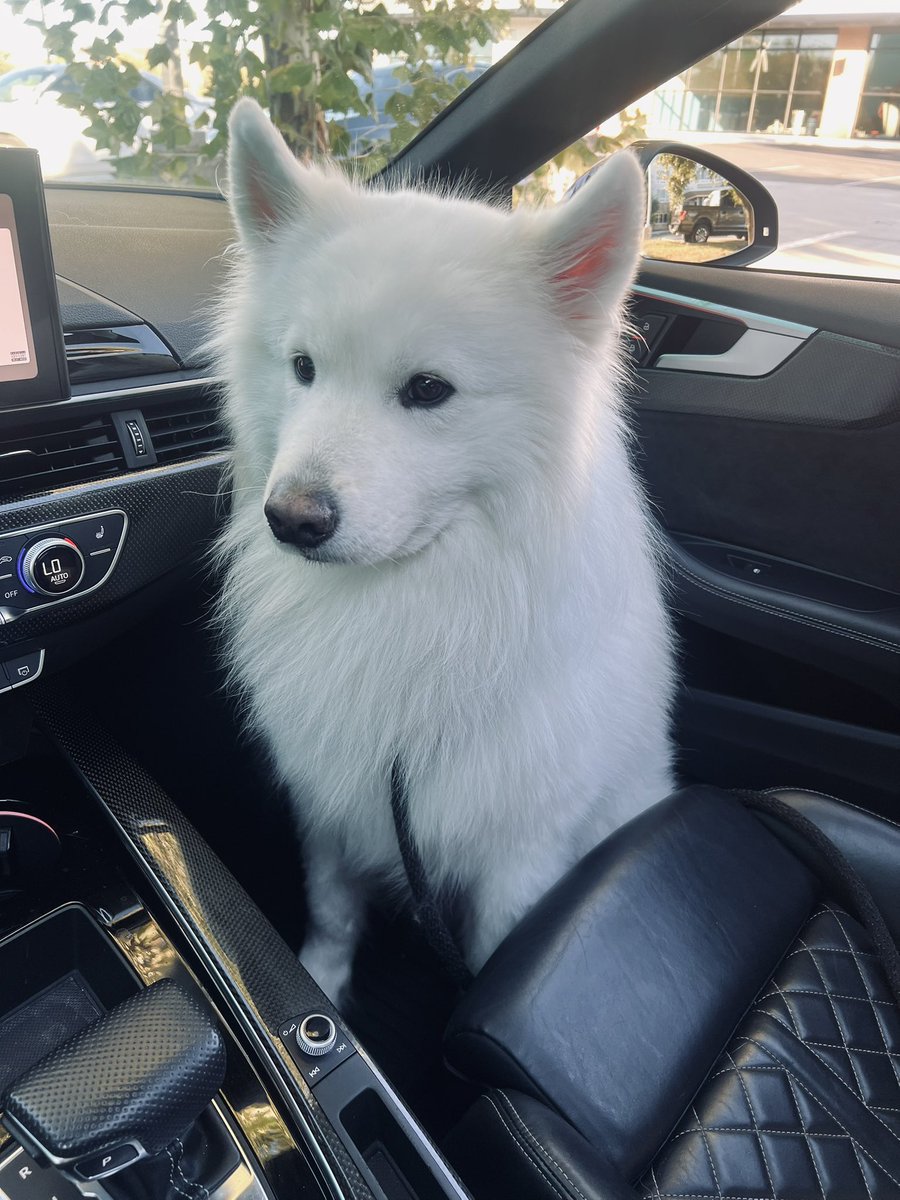 Waiting in the drive thru for the tacos
