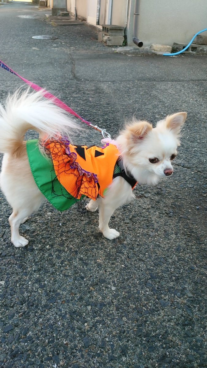 おかんの手作り