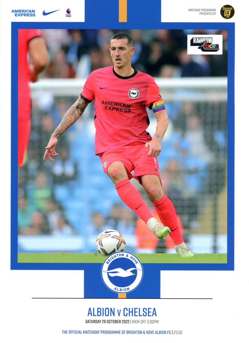 Seagulls Programmes tweet media