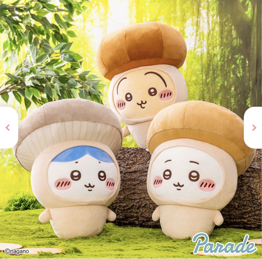 Posts with replies by モモさん🐹 (@ochoa0613) / X