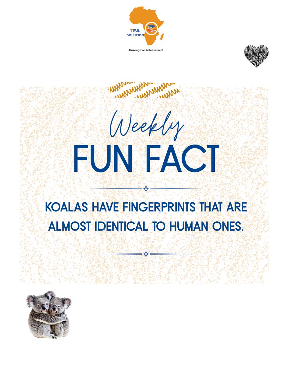 TFA_Solution's tweet image. 🐨Fun Fact Friday!
Koalas have fingerprints almost identical to humans — even forensic experts can’t always tell them apart!🔍
Come back every Friday for more fun facts to make your holiday brighter and smarter!☀️📚
#FunFactFriday #TFASolution #LearnWithTFA #CBECurriculum #EdTech