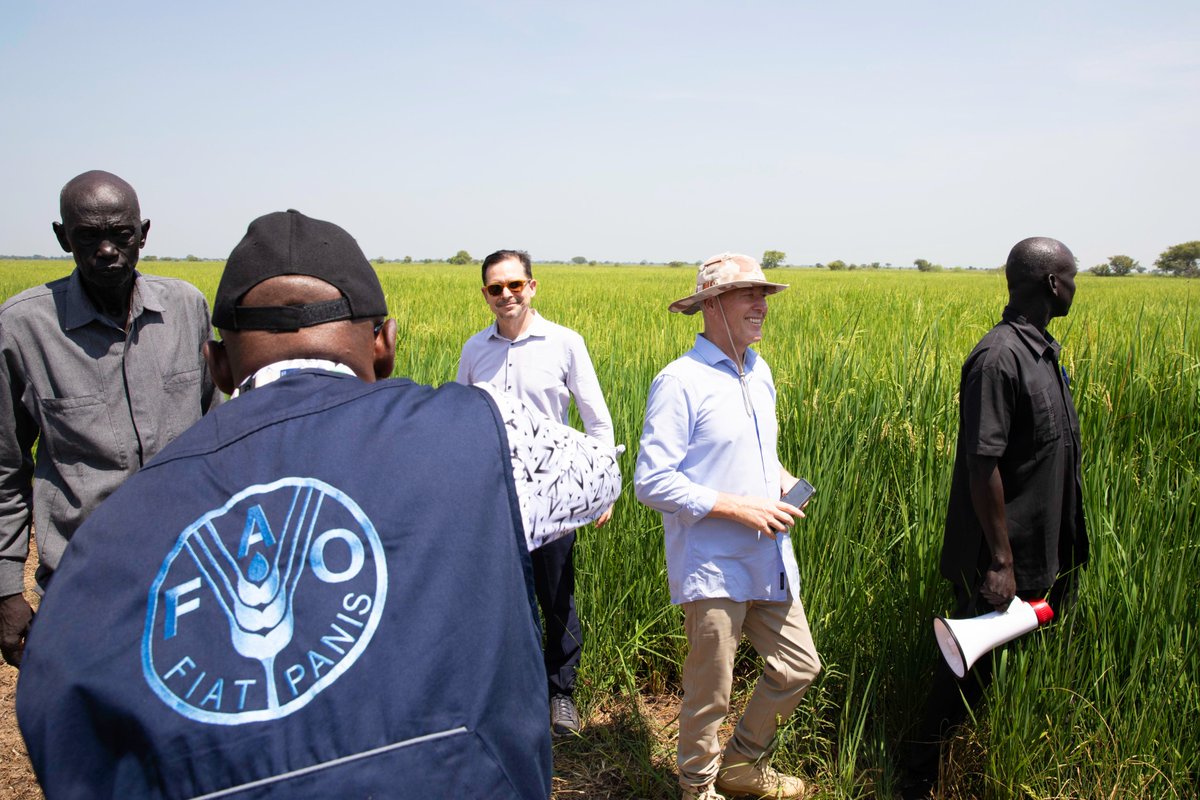 FAO in South Sudan tweet media
