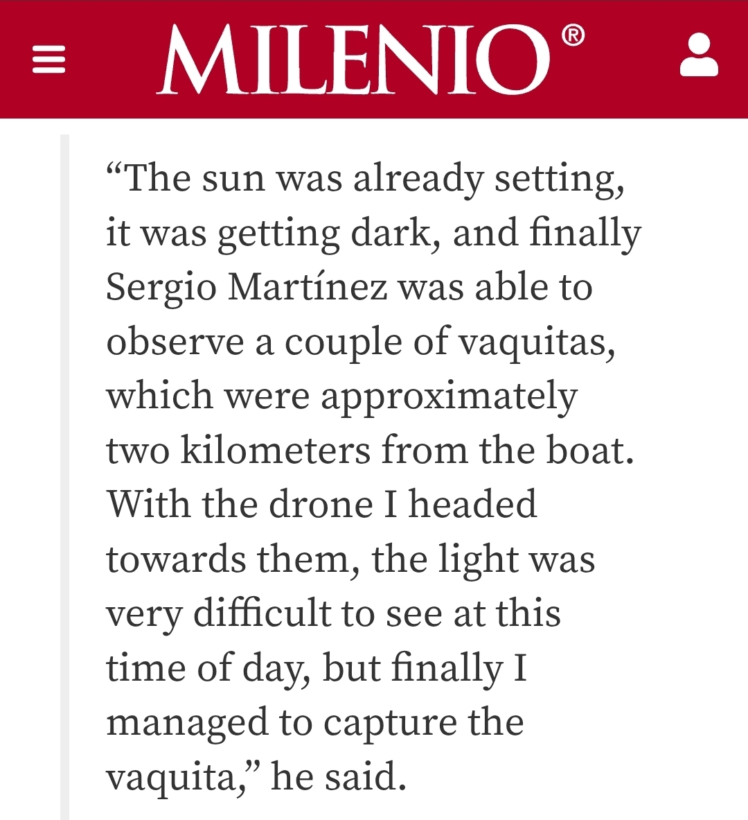 Report by <a href="/Fannymiranda26/">FANNY  MIRANDA</a> for <a href="/Milenio/">Milenio</a> is autodubbed into English &amp; contains an interview with drone pilot <a href="/FabianRguez94/">Fabian Rodriguez</a> working for <a href="/SeaShepherdSSCS/">Sea Shepherd US</a>, describing how he was able to capture amazing footage Sept 23 of #vaquita mother Frida &amp; her calf despite the fading light 🌄
