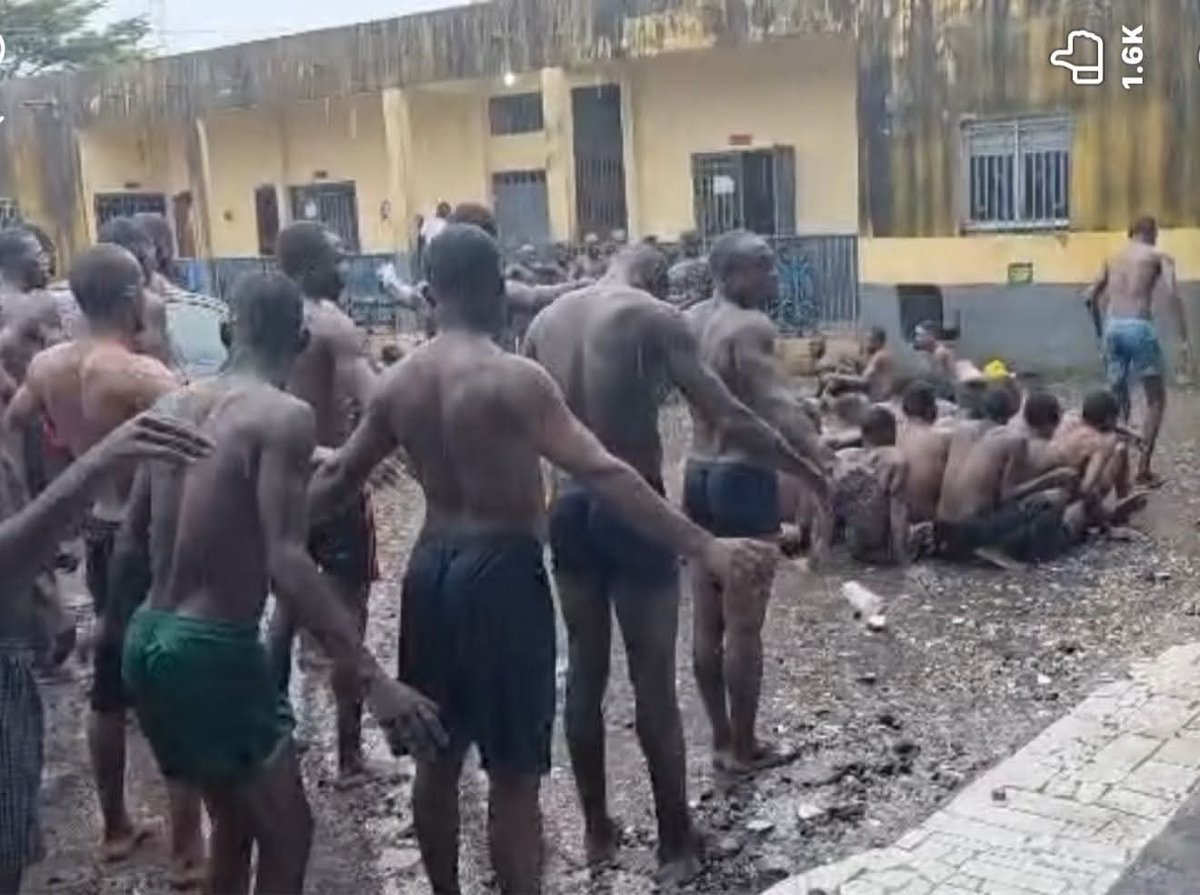 JitziD's tweet photo. Grave human rights violation by cameroon's dictator Paul Biya. After the fraudulent election where the latter was declared winner,  young people have become his target. They are being arrested for protesting against election rigging. https://t.co/bcRKq7R4Wa