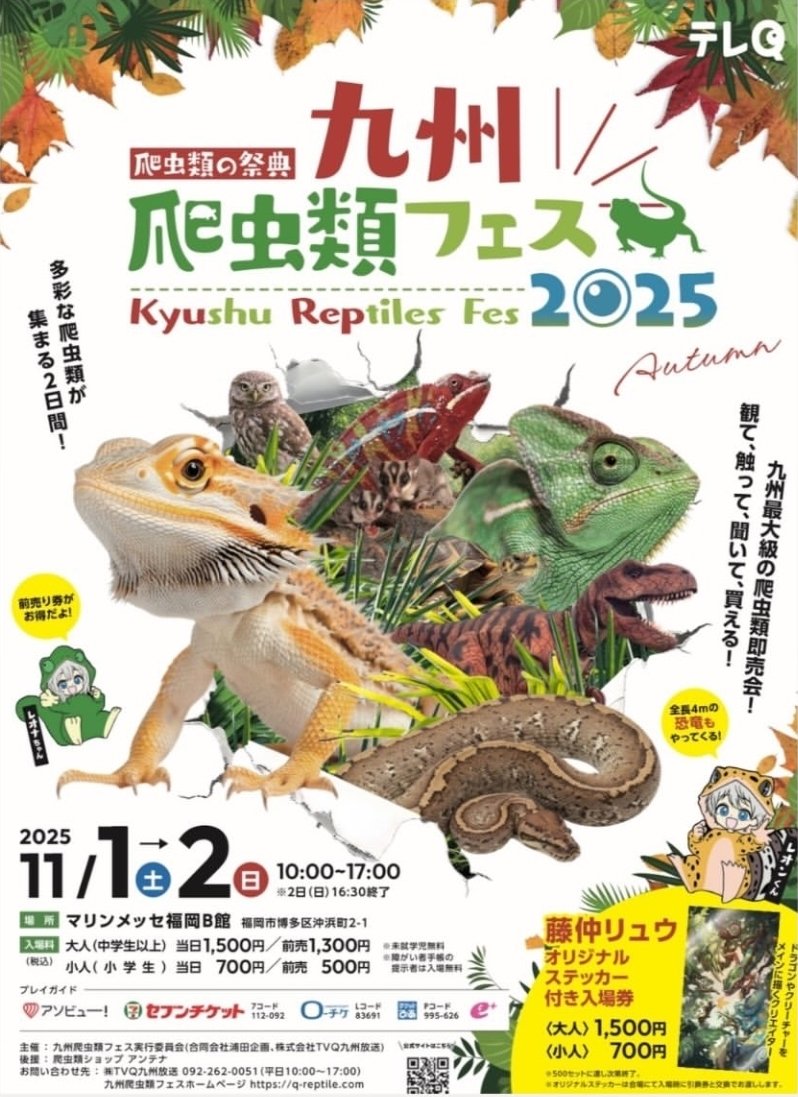 niko.momo (@nikomomo_sg) / Posts / X