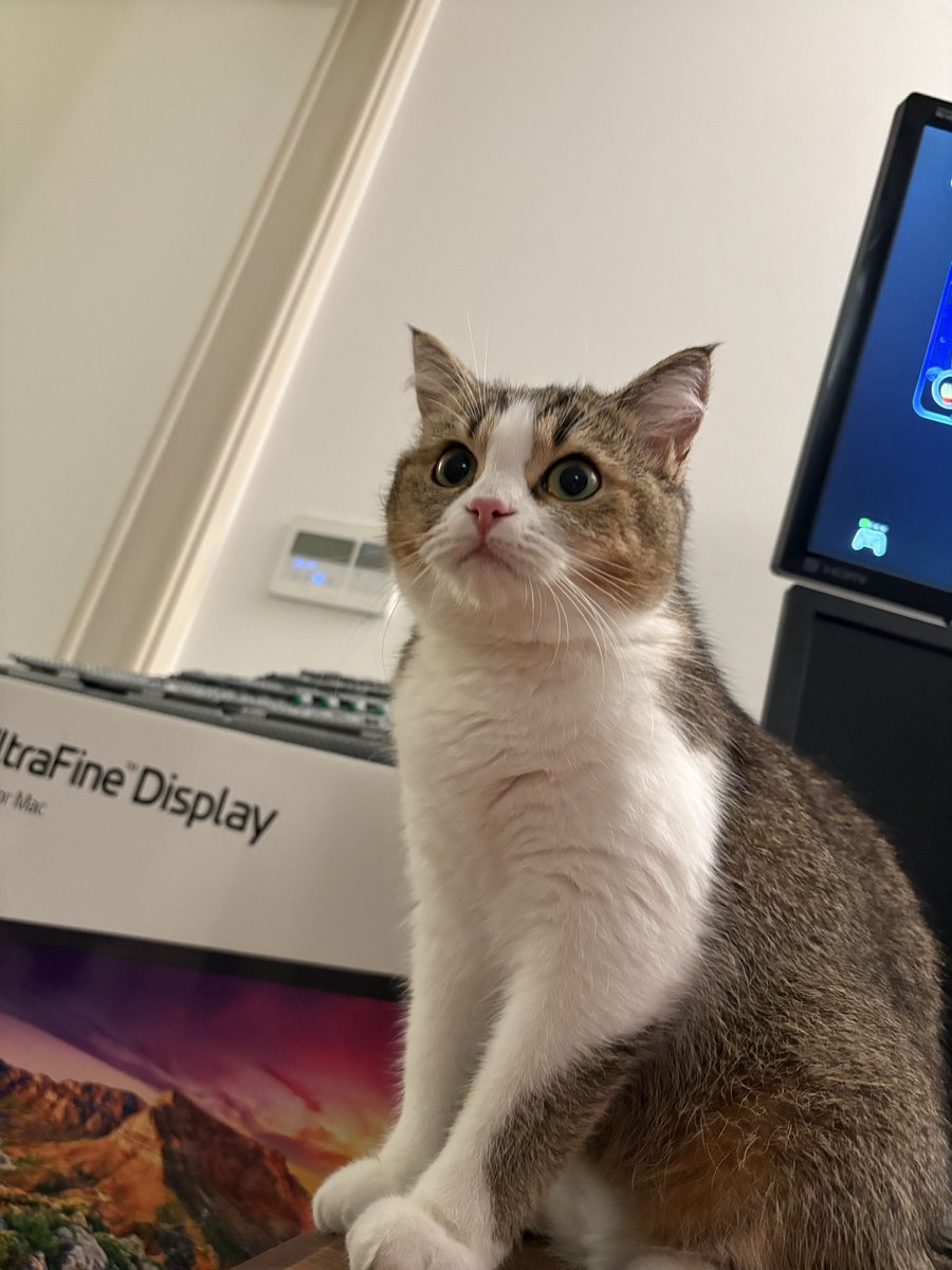 유기용 tweet media