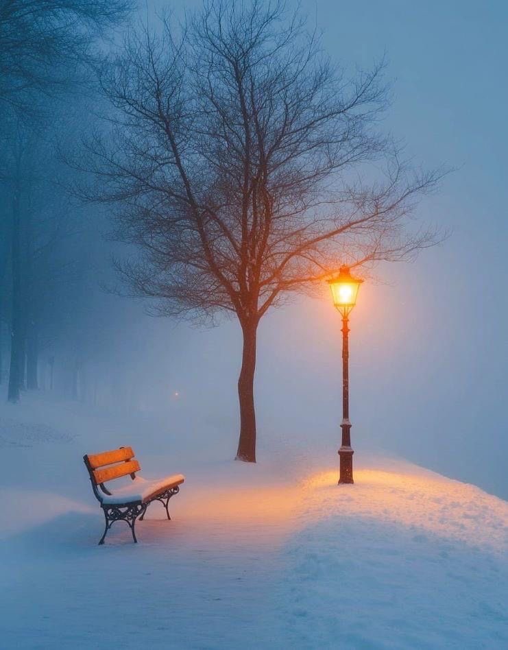 ‌
✍️«و می‌خواستم
پناهگاه همیشه استوار تو باشم
تا هرگز احساس بی‌پناهی نکنی.
چرا که به تجربه دریافته بودم
بی‌پناهی، چه اندوه عمیق و جانکاهی
با خود به همراه دارد.»❤️