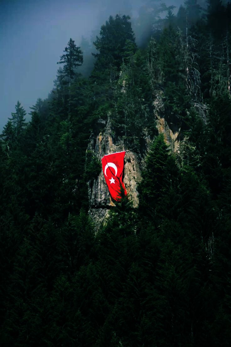 Jalminha_'s tweet image. 