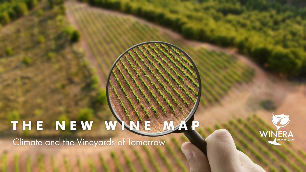 The #globalwinemap is shifting rapidly &amp; Winera is at the forefront of this transformation!
Read more: tinyurl.com/29txezzu
#Winera #Traveller #Wine #WineTravel #ClimateChangeAndWine #WineTourism #EmergingWineRegions #CoolClimateWines #EcoWineTravel #FutureOfWine #WineLovers