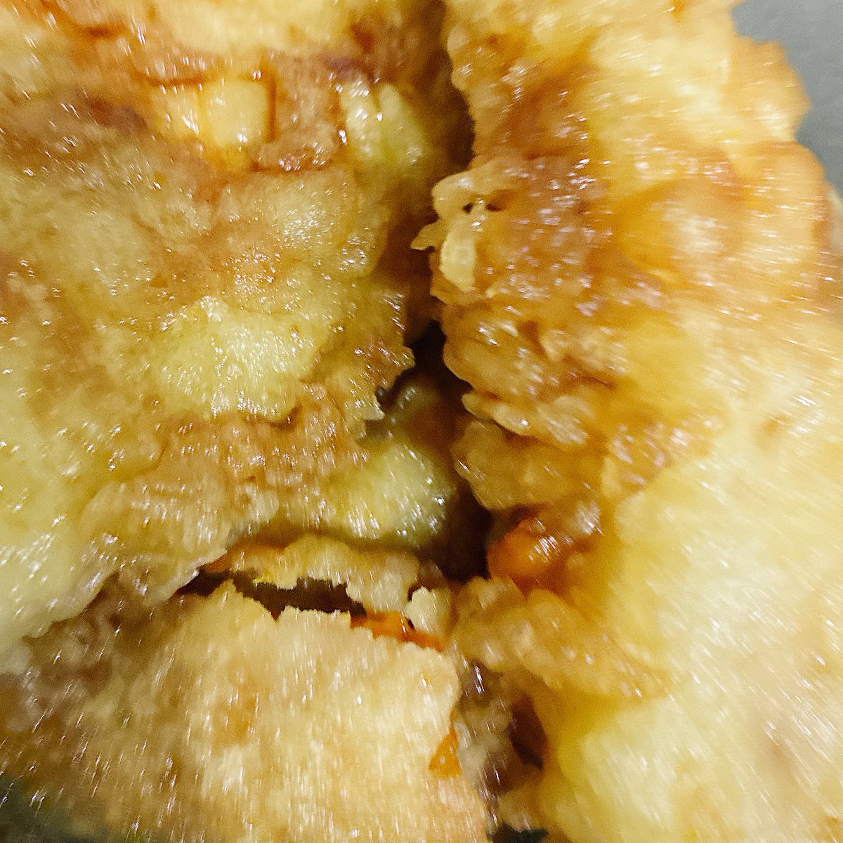 メンバー限定配信 ｜ 天丼 youtube.com/live/_INtNUq4e… <a href="/YouTube/">YouTube</a>より