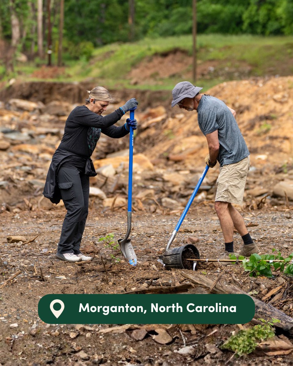 When Hurricanes Helene and Milton hit just weeks apart, they left millions in damage and scarred forests across six states. One year later, recovery is growing — through trees, countless partners, and unshakable community resilience.