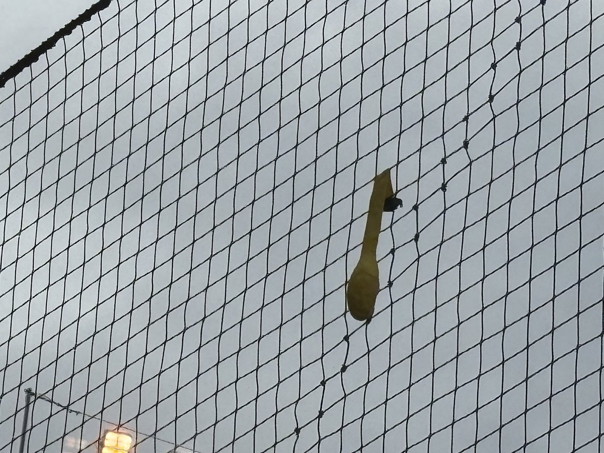 shinatan様　25日頃 1979 Datsun 280ZX | Classic Cars for Sale - Streetside Classics