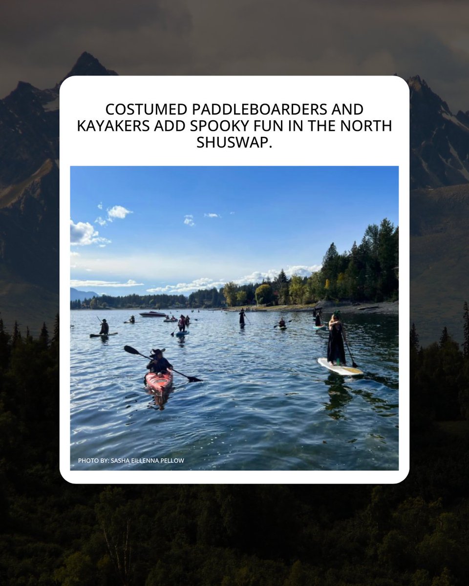 infonewskelowna's tweet image. You may have noticed large, spooky covens of witches and warlocks paddling on local lakes in the Okanagan and Kamloops this month.

Read the full story: infonews.ca/news/7388558/i…

#localevents #okanagan