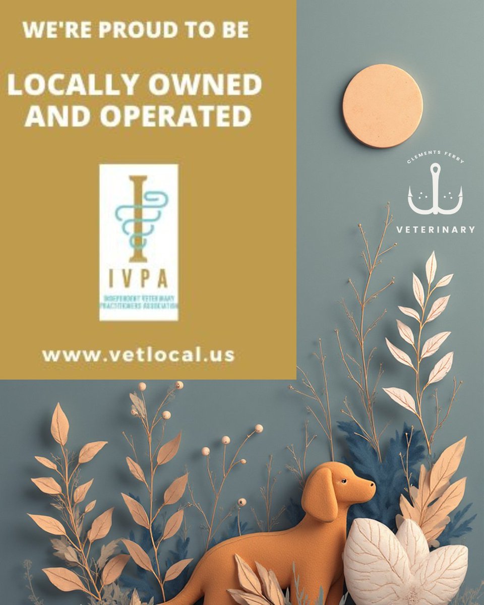ferryveterinary's tweet photo. At Clements Ferry Vet, we understand the importance of supporting local, independently-owned business and building our local community. We are growing together. You're not just a number to us - y'all are family! https://t.co/BEFPzmbtMp