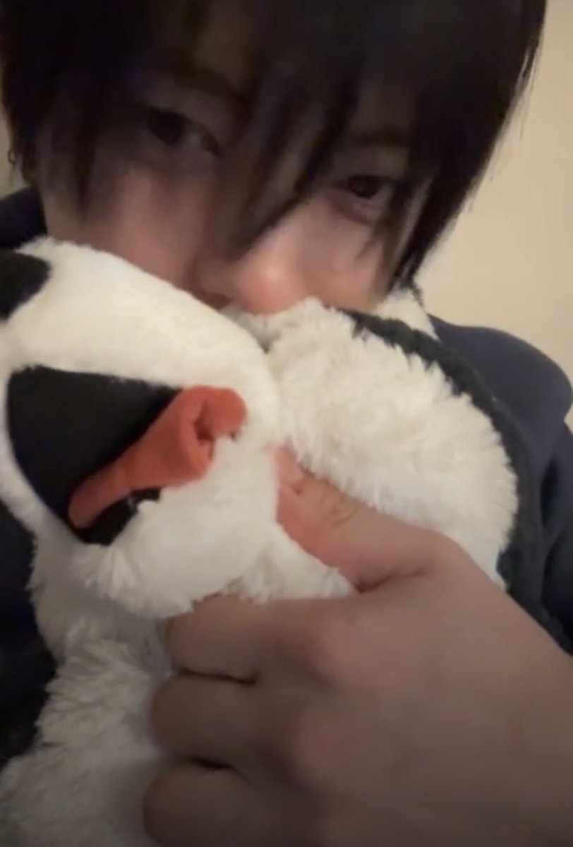 それでは聴いてください、ジュンミンとイジョンで
『ぬいぐるみの扱い方は恋人の扱い方』