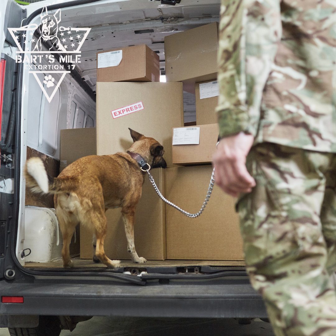 They track, detect, protect, and even comfort. Military dogs serve with courage and heart, proving heroes come with four paws too. 🐕‍🦺💪
Help honor these heroes by signing up for Bart's Mile today.
classy.org/event/barts-mi…