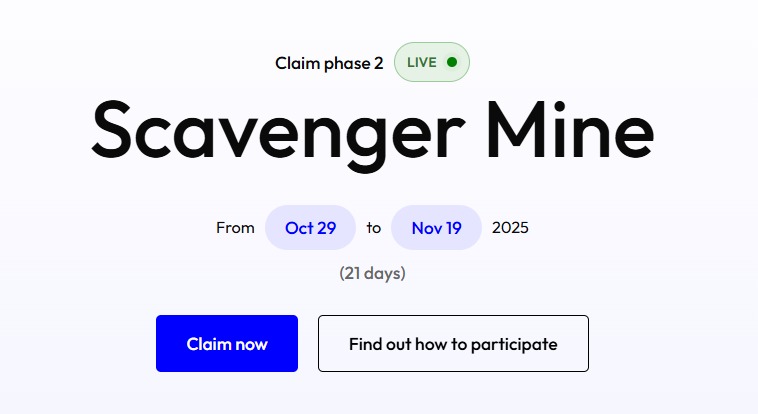 CHIL Stake Pool - Rodrigo tweet media