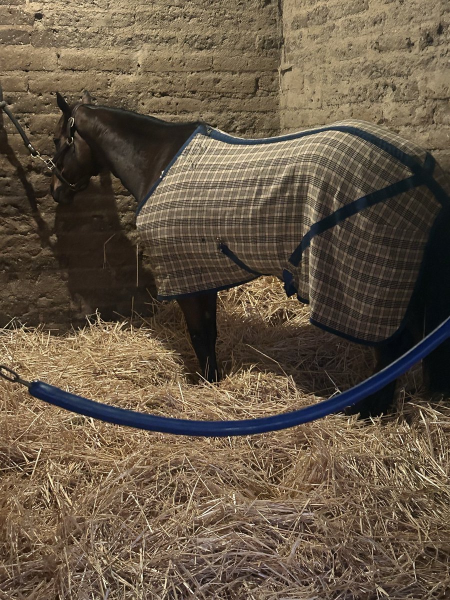 Excited to be back at Del Mar