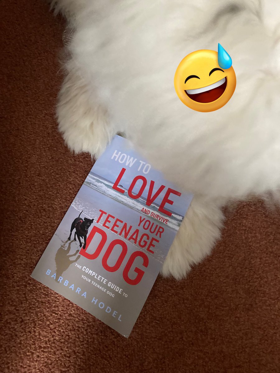 New addition to the ever expanding collection of dog books! 📚🐾 #BiblioDog