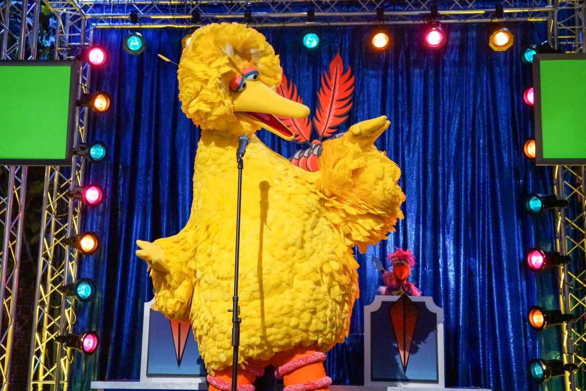 Big Bird tweet media