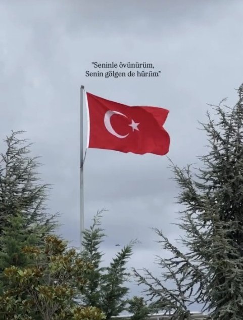 Vatanı sevmeyen insan olmaz.
Olsa da o şahısta vicdan olmaz.