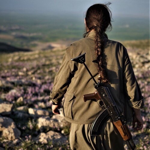 profesor_Mi's tweet photo. Zerre-i miskal mücadele vermeyip, mücadelede çay kaşığı kadar tuzu olmayan sabah akşam çene çalıp olmayan aklını dağıtan tipler neye göre, hangi hakla Önderliğin başlattigi sürece ve Kürtdistan Özgürlük Gücünun Kuzey Kürdistandan  çekilmesine yorum yapabiliyor anlamıyorum. https://t.co/gNMEo9JQYl