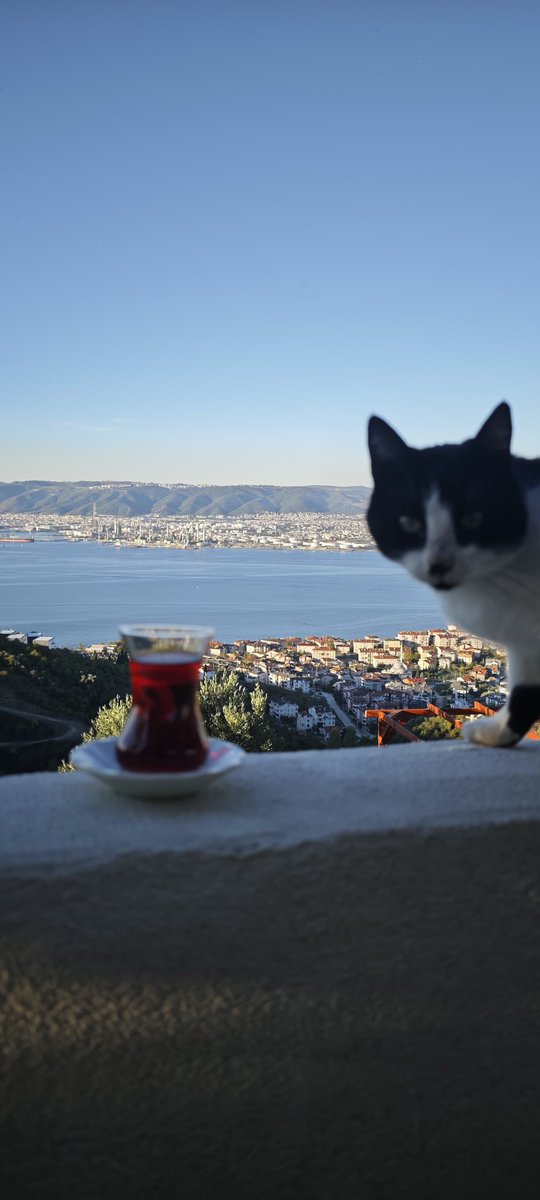 __zenzen's tweet photo. Kedi çay ve manzara .... https://t.co/aMlvoMkBqo