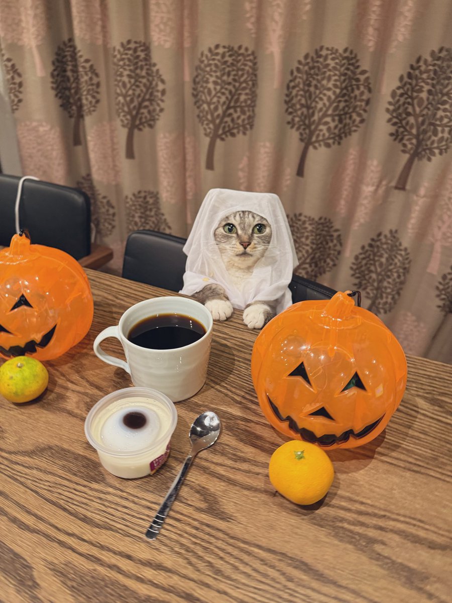 kokonananya's tweet image. 【徹底討論】北条政子とシスターの違いとは