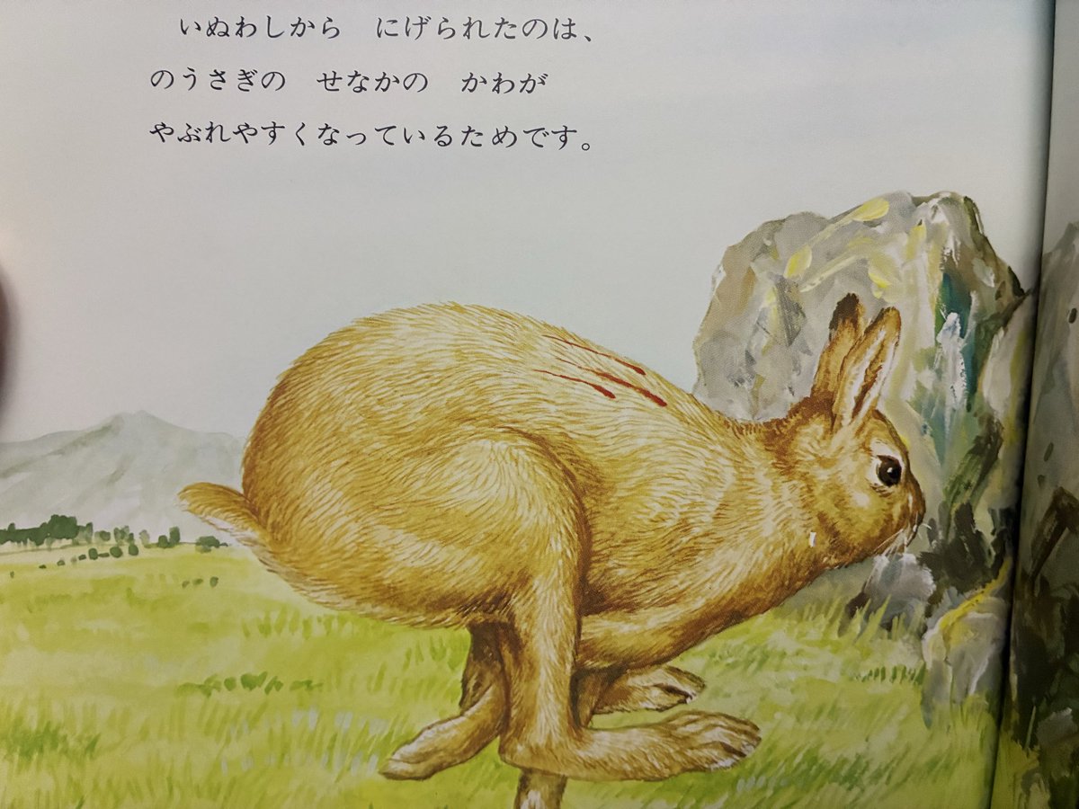 くまさん（´(ｪ)｀）一家 (@kumakumamoheji) / Posts / X