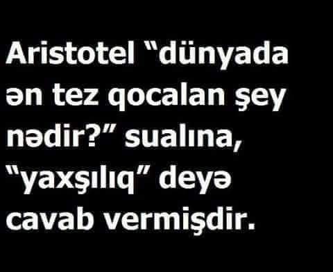 Teymur Qasımlı (@teymurqasimli) on Twitter photo 