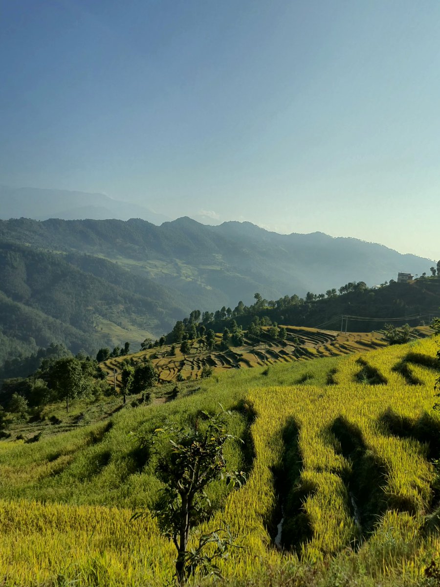 same spot, different times