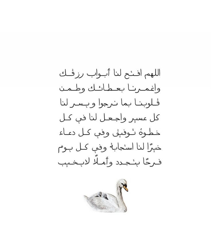 ذكر (@ill2ie) on Twitter photo 